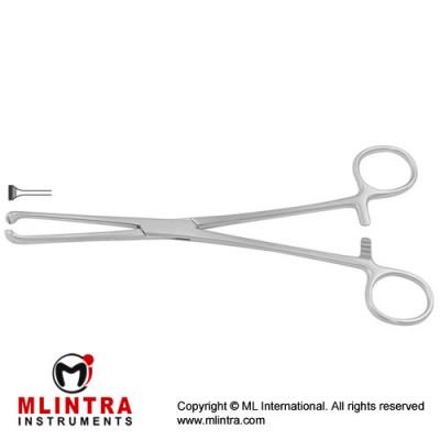 Allis Atrauma Intestinal and Tissue Grasping Forceps Stainless Steel, 15.5 cm - 6" Allis Atrauma Intestinal and Tissue Grasping Forceps Stainless Steel, 15.5 cm - 6"